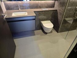 KI Residences at Brookvale (D21), Condominium #582166921